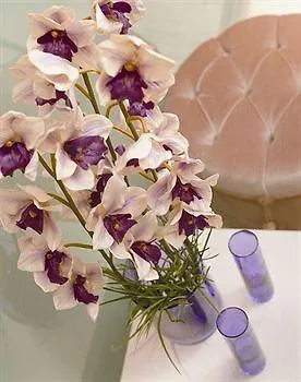 Baran Airport アパートホテル イスタンブール